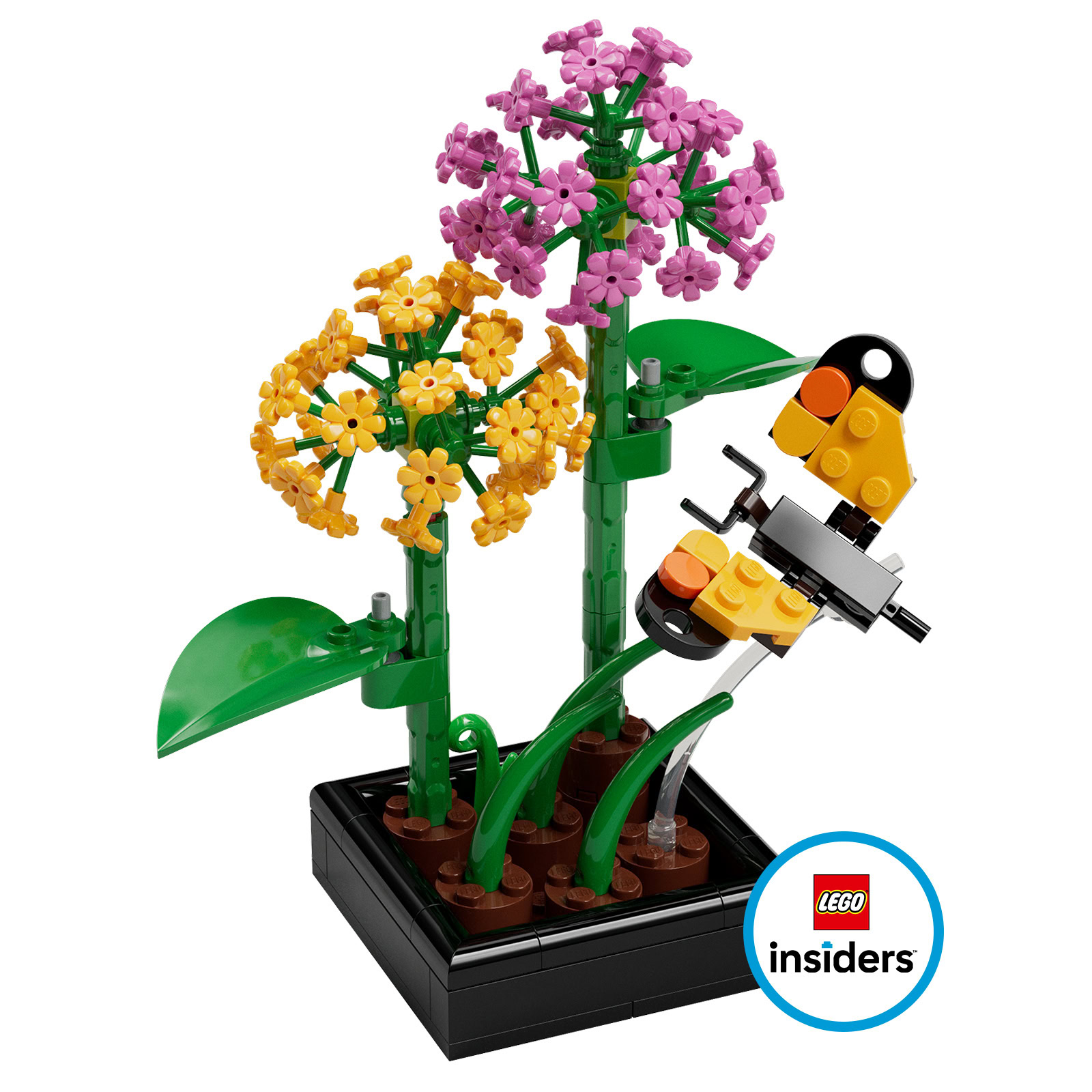 ▻ New LEGO Insiders reward: LEGO BOTANICALS 5009408 Butterfly